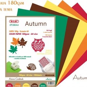 Carta Colorata assortimenti a Tema A4 Wiler