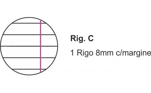 Quadernone Scolastico A4 Righe/Quadretti Wiler - immagine 6