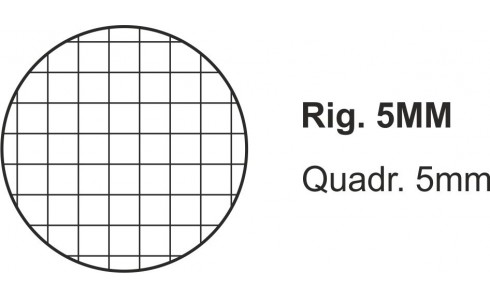 Quadernone Scolastico A4 Righe/Quadretti Wiler - immagine 7