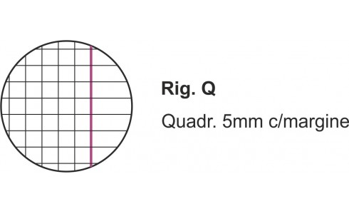 Quadernone Scolastico A4 Righe/Quadretti Wiler - immagine 8