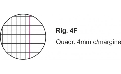 Quadernone Scolastico A4 Righe/Quadretti Wiler - immagine 10