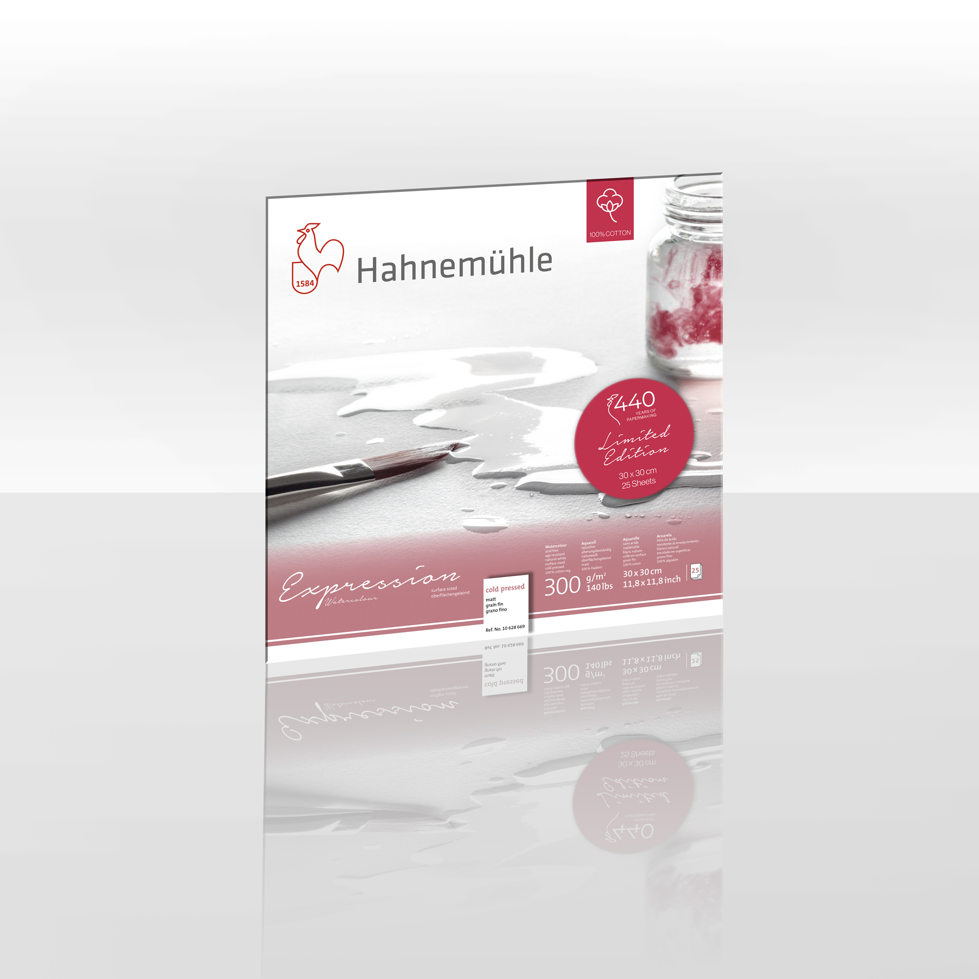 Hahnemuhle Blocco Expression 300gsm grana fine 25 fg