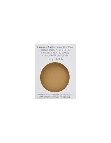 Sennelier Pack Pastel Card "Naples Yellow" - immagine 2