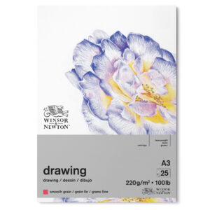 Winsor & Newton Blocchi Disegno Collati su un Lato 25 fg Grana Fine 220 gr/mq